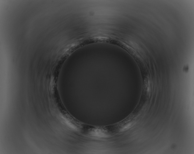 X0000093450223200710191110