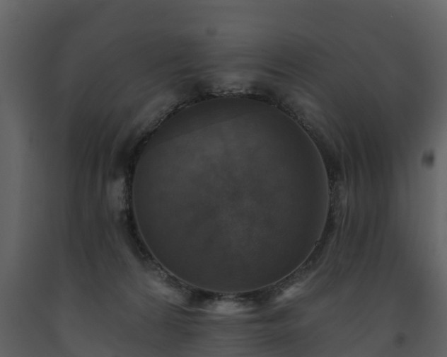 X0000093450224200710191110