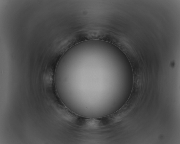 X0000093450226200710191110