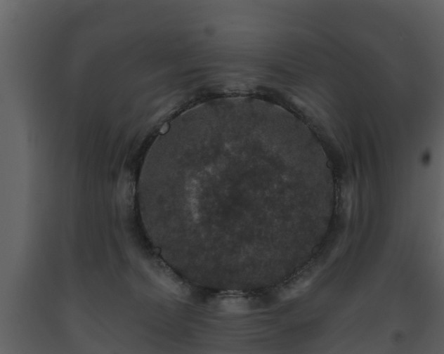 X0000093450228200710191110