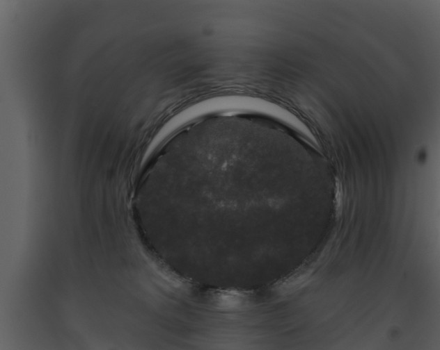 X0000093450229200710191110