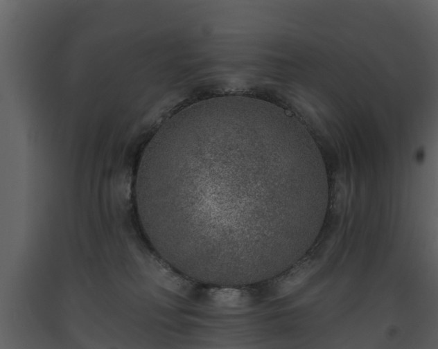 X0000093450230200710191110