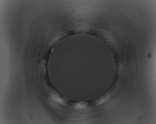 X0000093450232200710191110