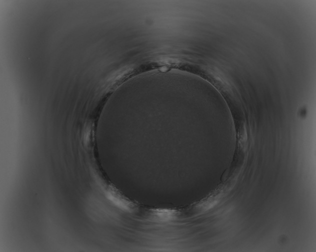 X0000093450233200710191110