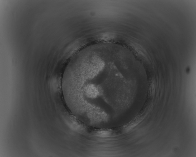 X0000093450236200710191110