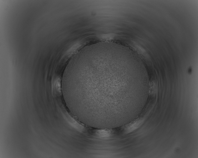 X0000093450238200710191110