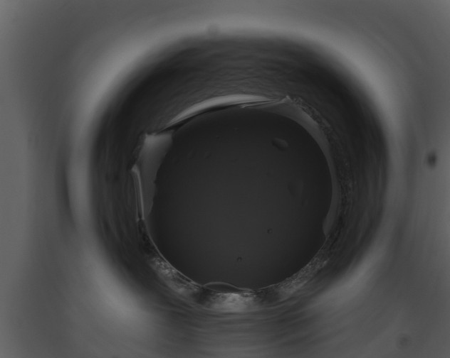 X0000093450239200710191109