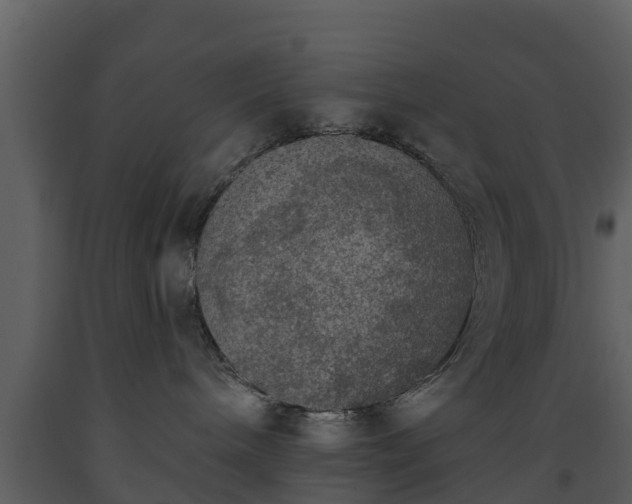 X0000093450240200710191109