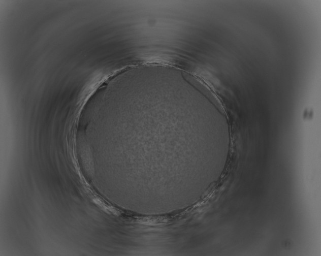 X0000093450241200710191109