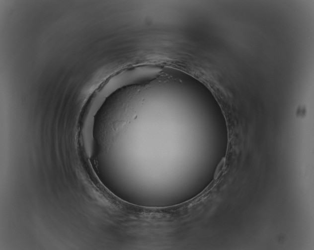 X0000093450242200710191109