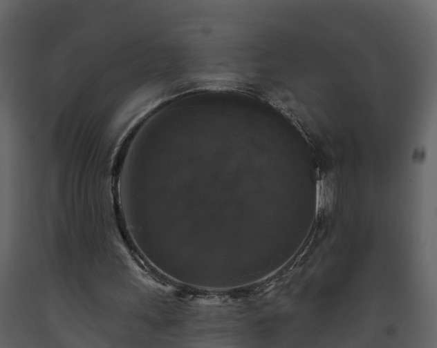 X0000093450243200710191109