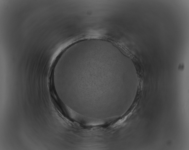 X0000093450244200710191109