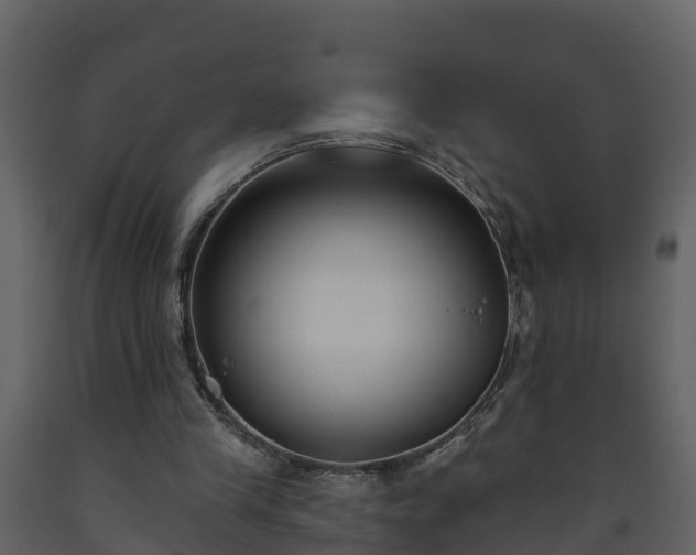 X0000093450245200710191109