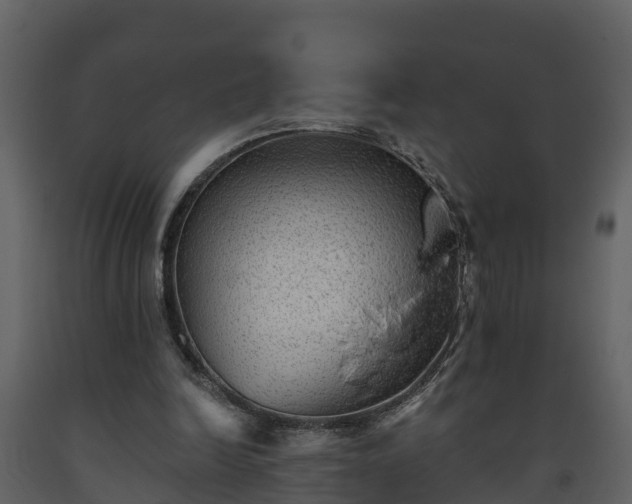 X0000093450246200710191109