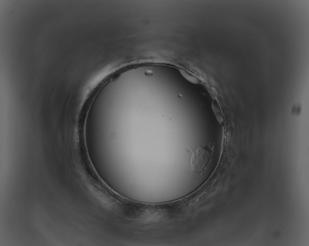 X0000093450248200710191109