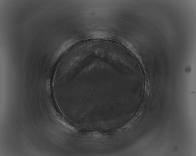 X0000093450249200710191109