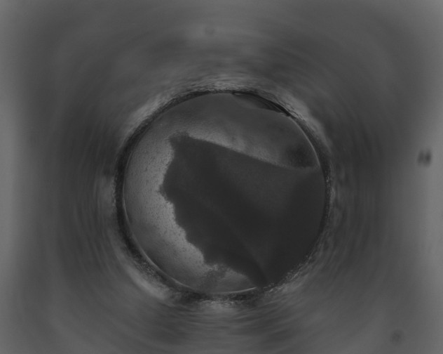 X0000093450250200710191109