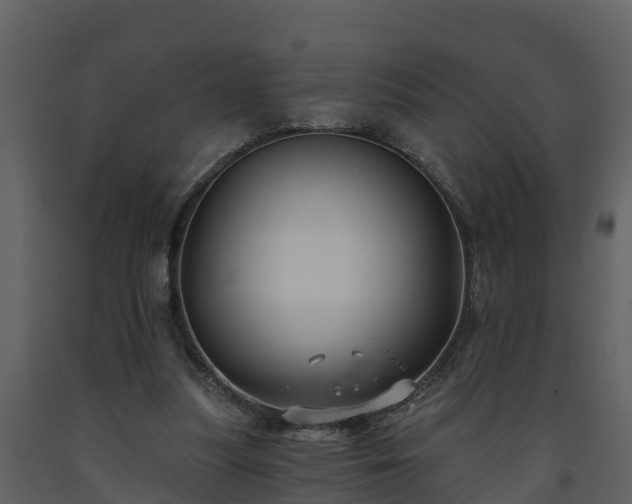 X0000093450251200710191109