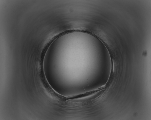 X0000093450252200710191109