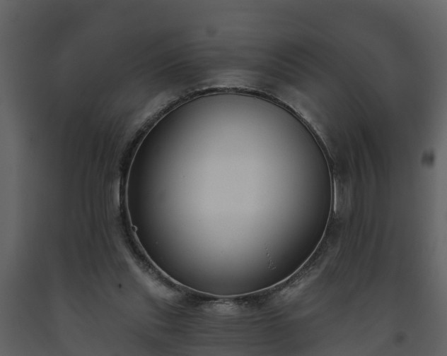 X0000093450253200710191109