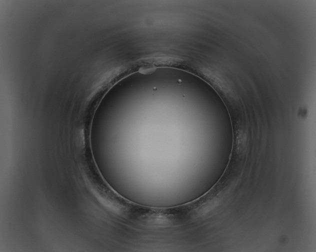 X0000093450254200710191109