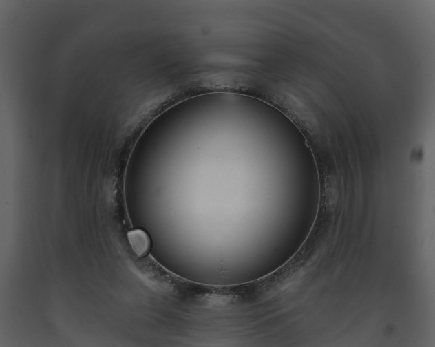 X0000093450255200710191109