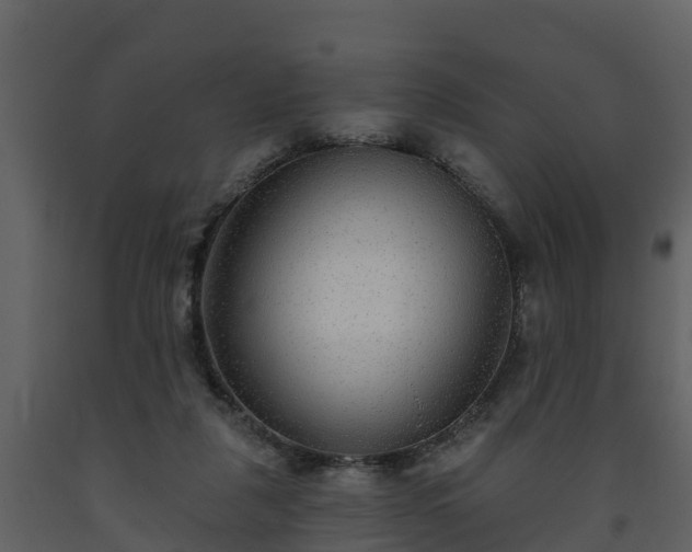 X0000093450259200710191109