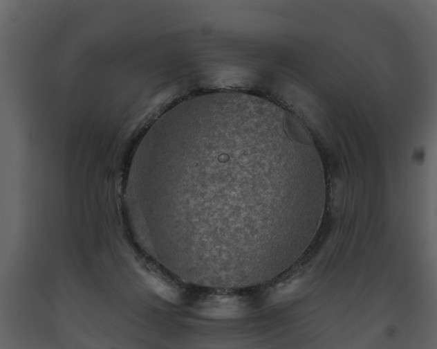 X0000093450260200710191109