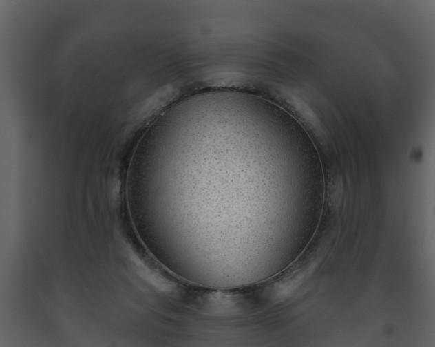 X0000093450261200710191109