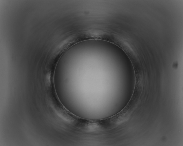 X0000093450262200710191109