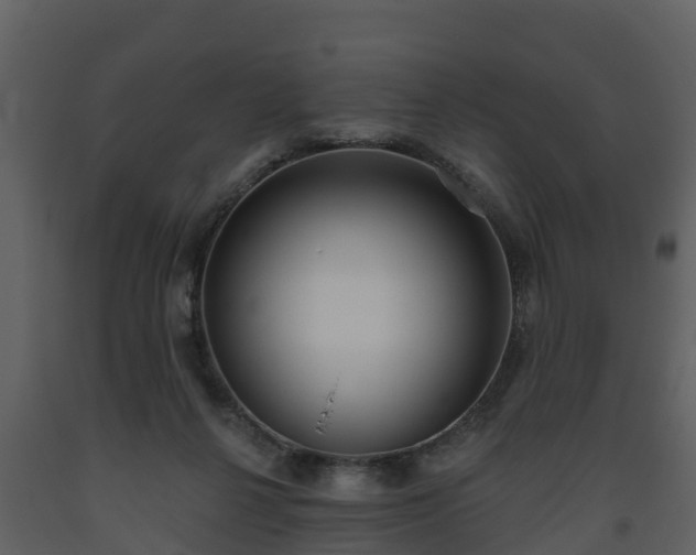 X0000093450264200710191109