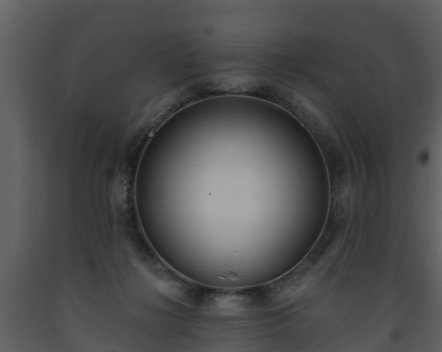 X0000093450268200710191109