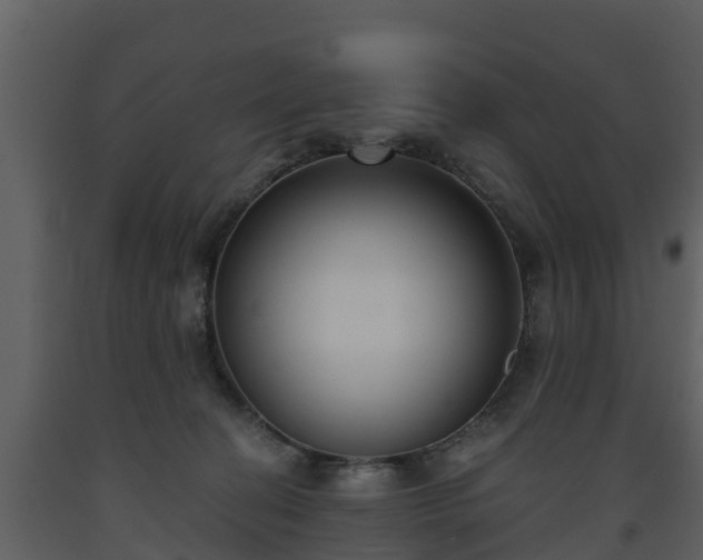 X0000093450274200710191109