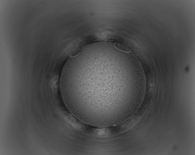 X0000093450275200710191109