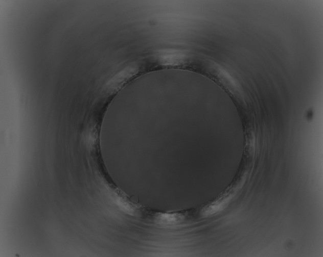 X0000093450277200710191109