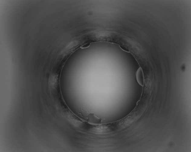 X0000093450278200710191109