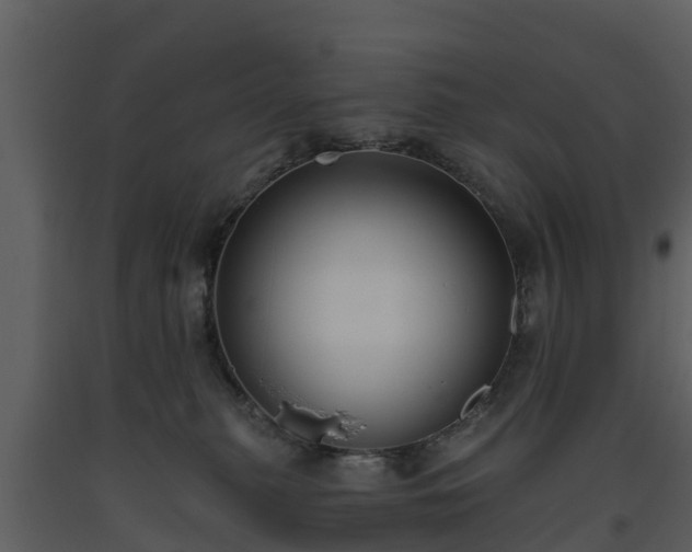 X0000093450279200710191109