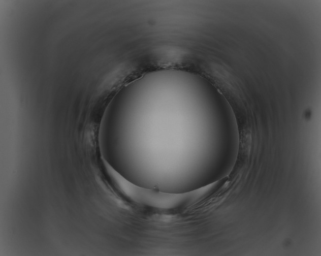 X0000093450280200710191109