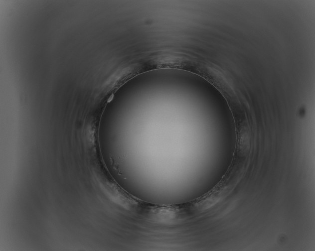 X0000093450282200710191109