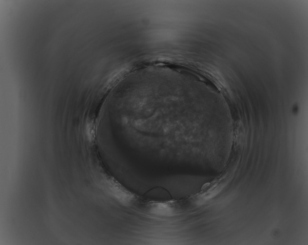 X0000093450285200710191109