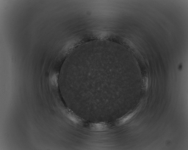 X0000093450286200710191109