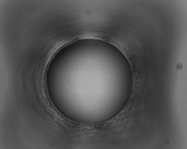 X0000093450289200710191109