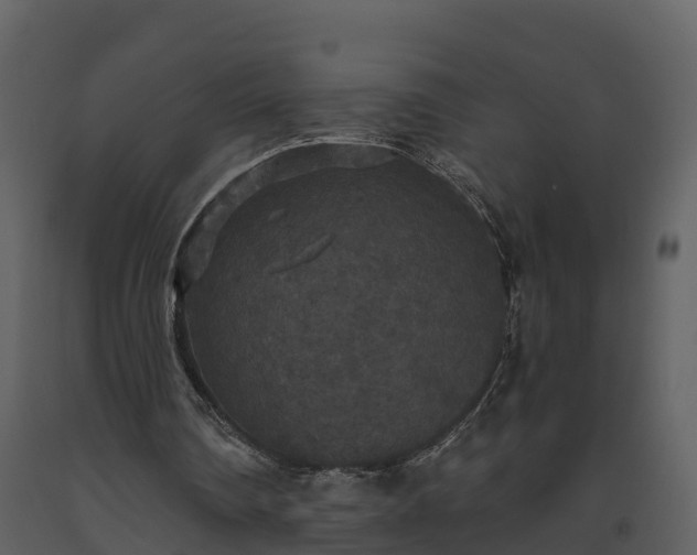 X0000093450290200710191109