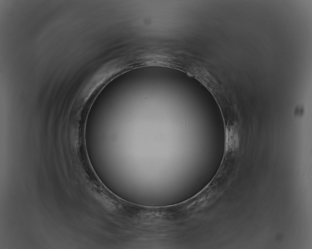 X0000093450291200710191109