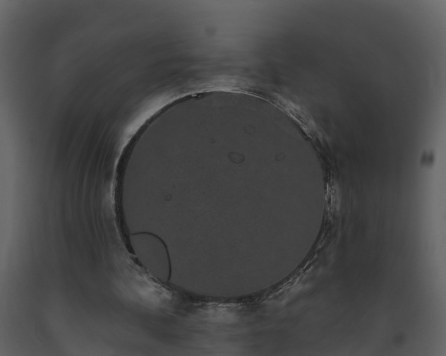 X0000093450292200710191109