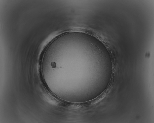 X0000093450294200710191109