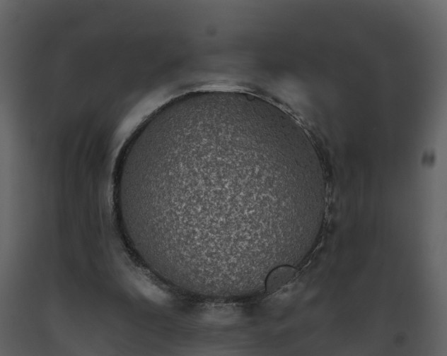 X0000093450296200710191109