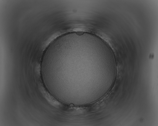 X0000093450297200710191109