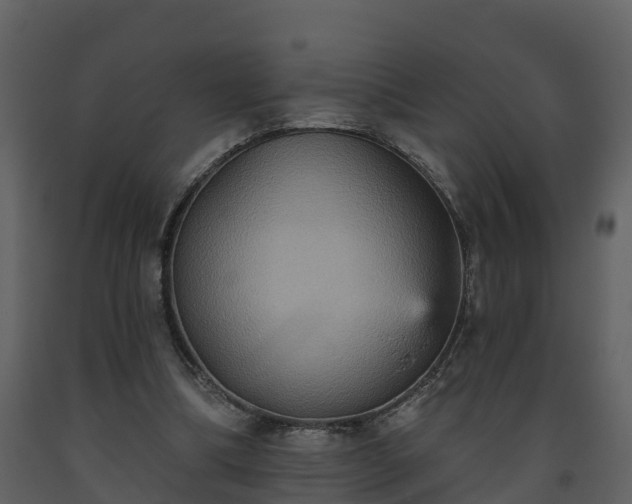 X0000093450298200710191109