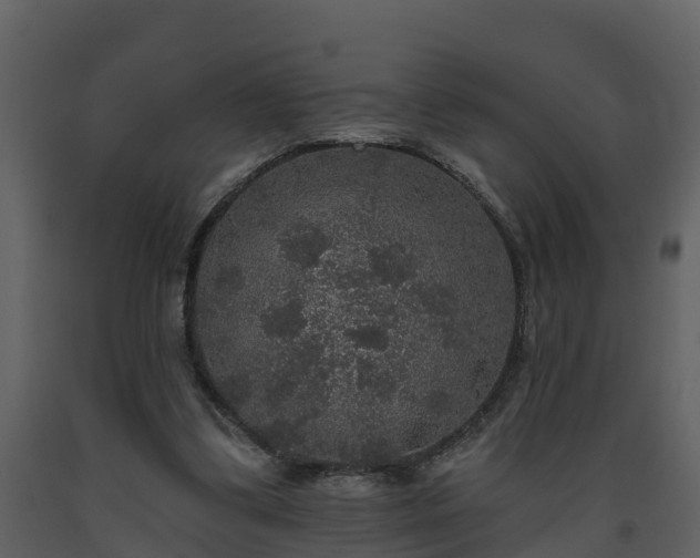 X0000093450299200710191109